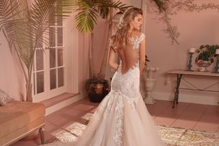 Galia Lahav