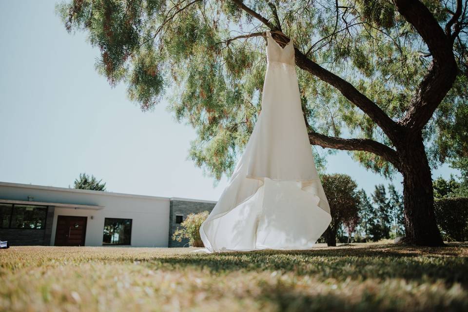 Alquiler del vestido de novia para el casamiento: guía y consejos prácticos