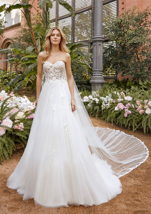 FELICIA, St. Patrick La Sposa