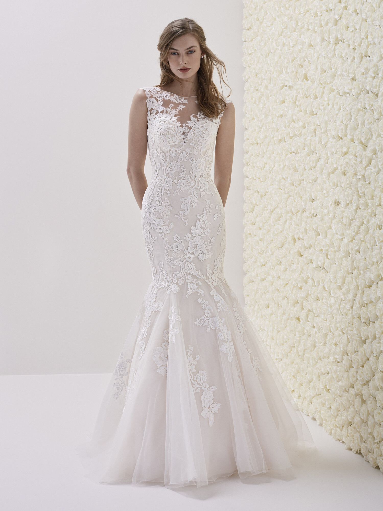 ingram pronovias