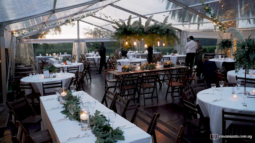 Casamiento en bodega