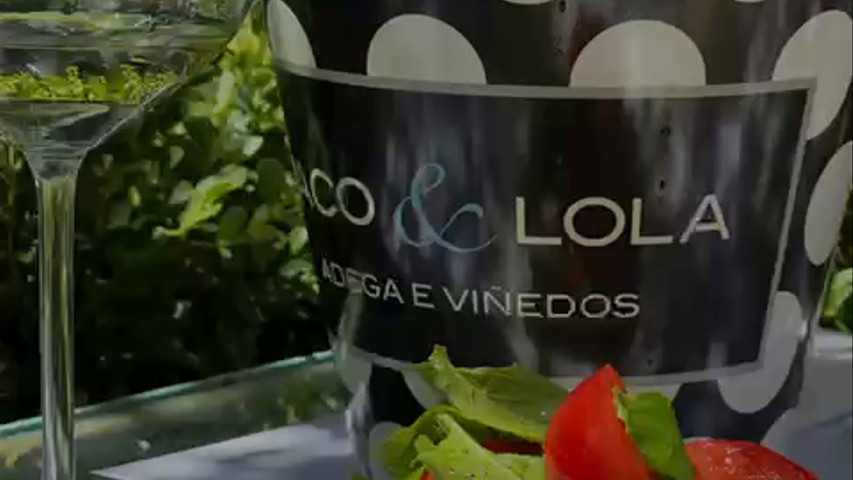 Vinos españoles en Gourmet Marti