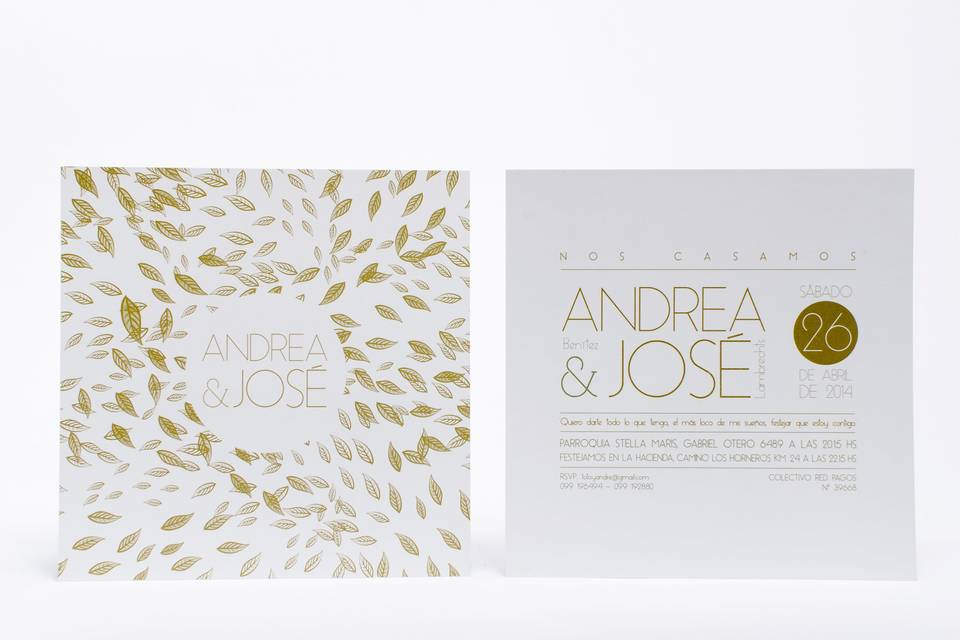 Andre & José, moderna y glam