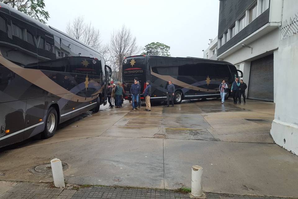 Mas buses