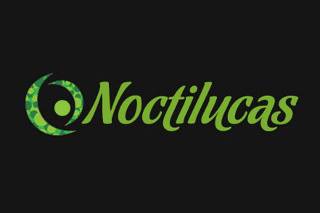 Noctilucas logo