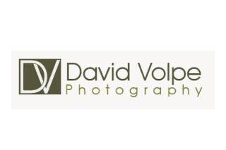 David Volpe logo