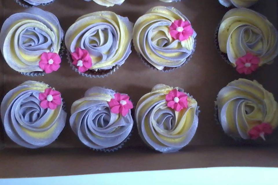 Cupcakes bicolores