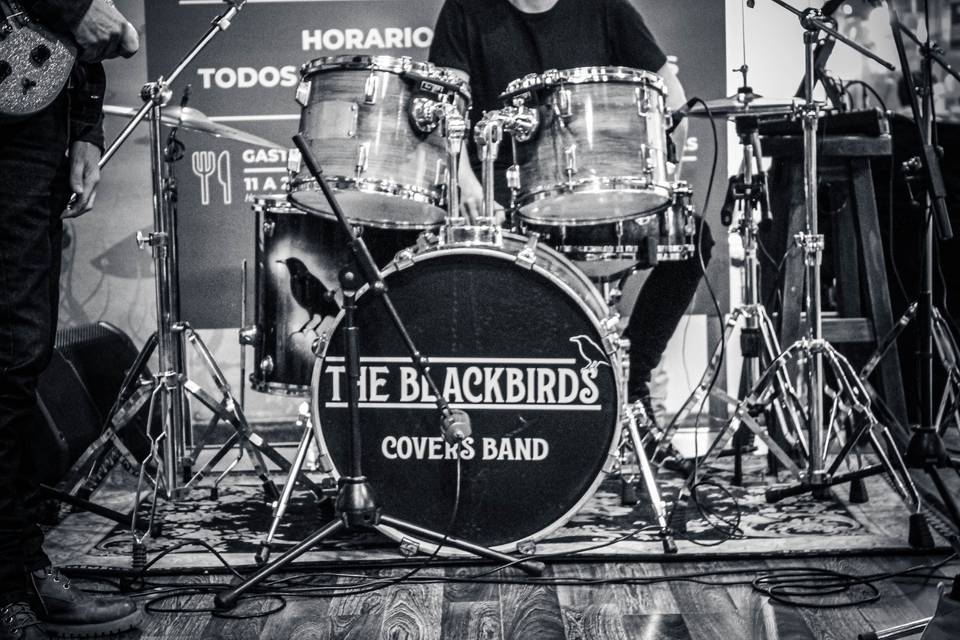 The Blackbirds Band Uy