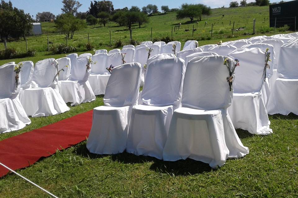 Al aire libre