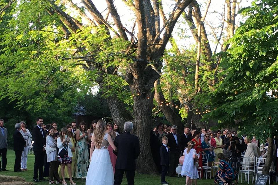 Boda en el parque