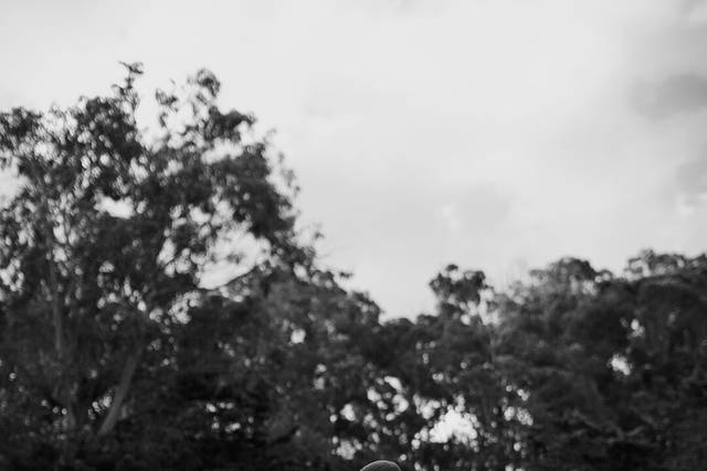 Vivanto