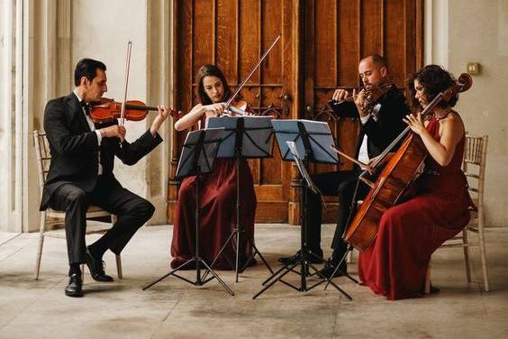 Cuarteto de cuerdas