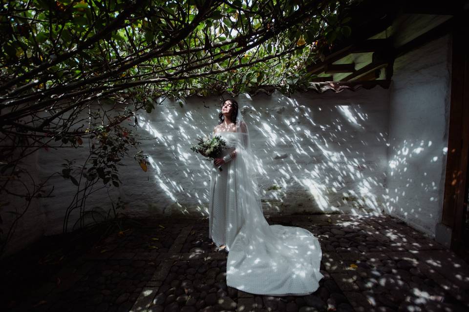 Novia posando en un patio con un techo de plantas