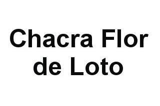 Chacra Flor de Loto